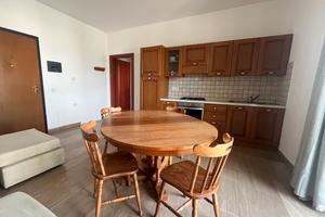 Bilocale contratto annuale
