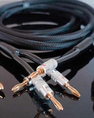 CAVI DI POTENZA SOMMER MERIDIAN SP240 DIFFUSORI 