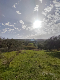 Terreno edificabile sito in Santa Flavia (PA)