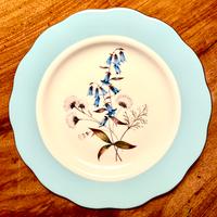 PIATTI COLLEZIONE ROYAL ALBERT