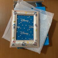 Cornice ufficiale Disney