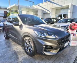 FORD Kuga 1.5 EcoBlue 120 CV 2WD ST-Line