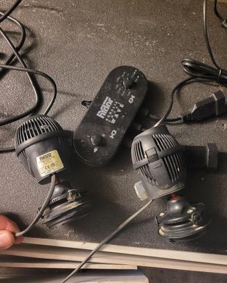 Pompe movimento hydor koralia