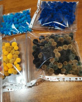 ponpom Multicolor 