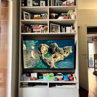 Armadio Libreria Zalf