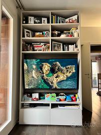 Armadio Libreria Zalf