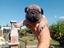 Immagine 4