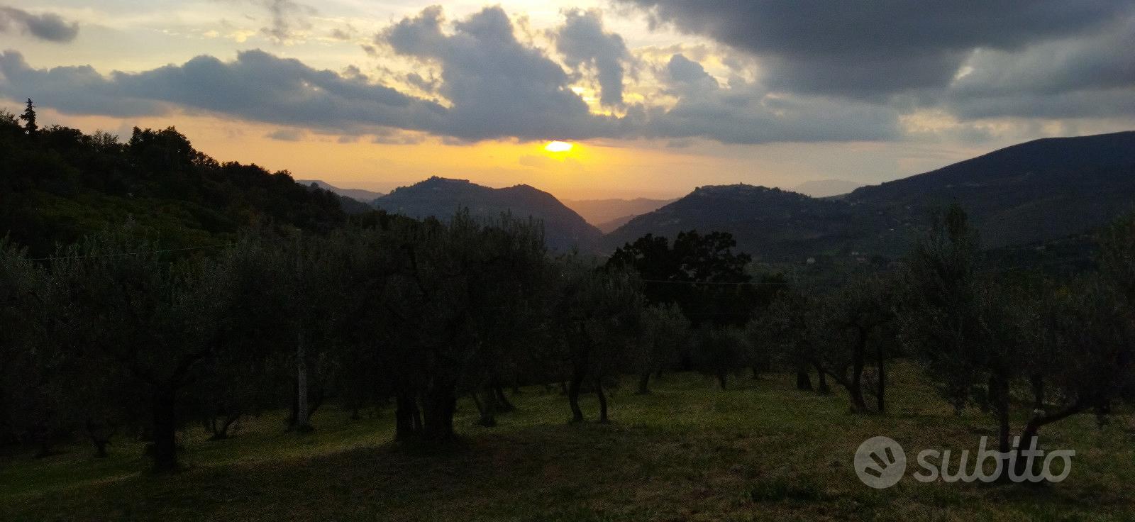 Terreno agricolo in biologico a Mompeo (RI) - Vista 6
