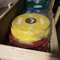 Dischi Technogym Olimpionici