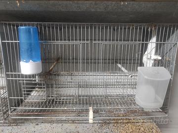 Gabbia da 55 senza cassetto