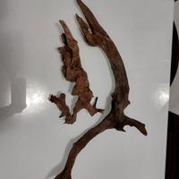 Legni ADA per acquario