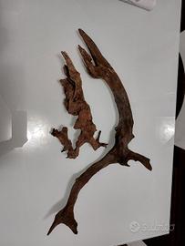 Legni ADA per acquario