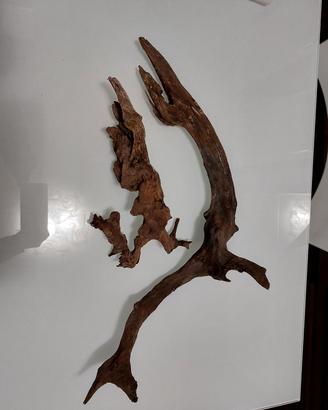 Legni ADA per acquario