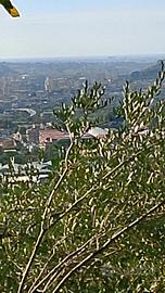 legna per camino o pizzeria 