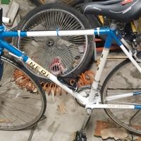 bicicletta da corsa