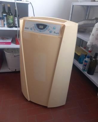 Condizionatore poratile