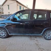 panda nera metalizzata