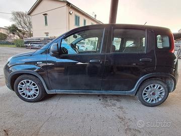 panda nera metalizzata