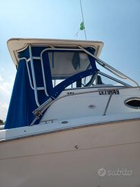 Sport Craft 251 walkaraund