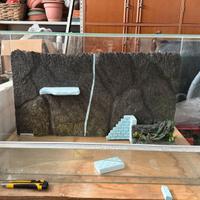 dispo quella della foto 1