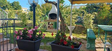 Casa vacanza dal 30 agosto in poi
