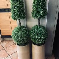 Piante da esterno in plastica con vaso