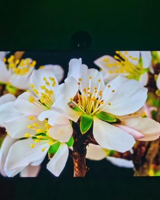 Smart TV Hisense 55" 4K