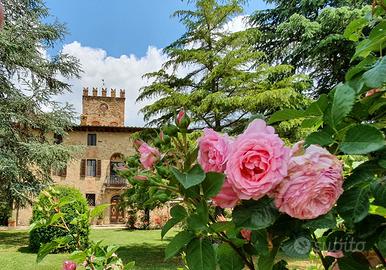 Grande proprietà, piscina privata ( 20 4 posti )