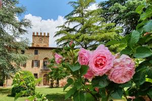 Grande proprietà, piscina privata ( 20 4 posti )