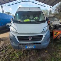 fiat ducato 2300 mjet anno 2017