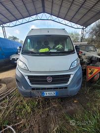 fiat ducato 2300 mjet anno 2017