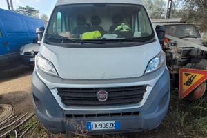 fiat ducato 2300 mjet anno 2017