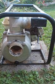 pompa acqua 6.5 hp