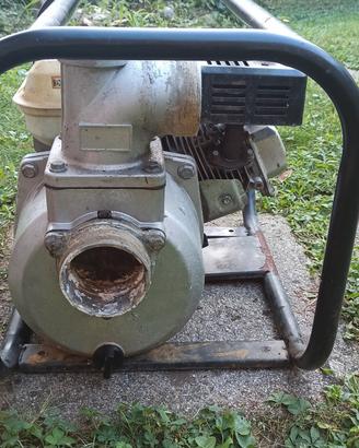 pompa acqua 6.5 hp