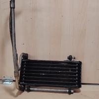 Radiatore olio aprilia dorsoduro 1200