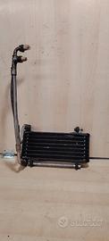 Radiatore olio aprilia dorsoduro 1200