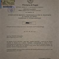 Preposto merci conto terzi