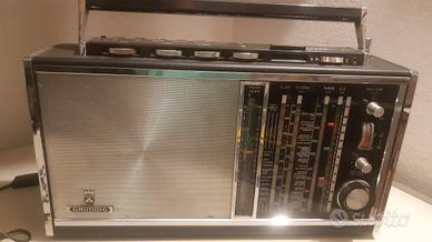 radio satellite grundig 6001