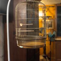 Gabbia voliera per uccelli