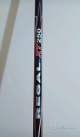 Canna bolognese colmic