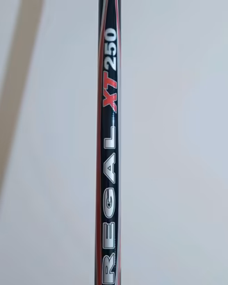 Canna bolognese colmic