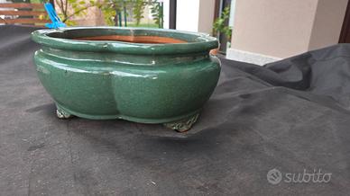 Vaso bonsai