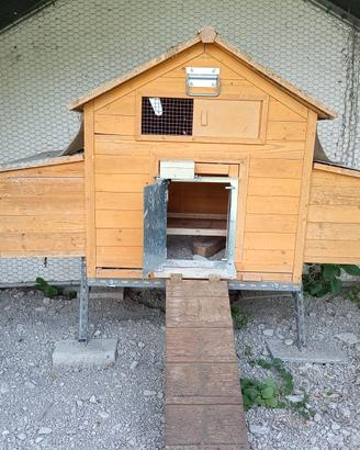 Pollaio per galline in legno