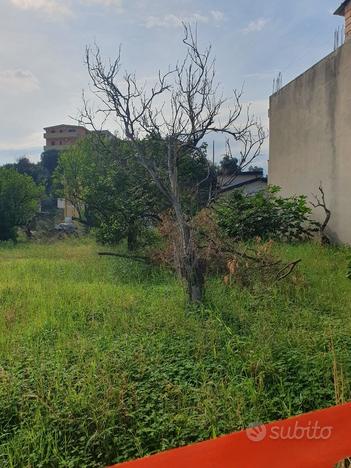 Industriale a Reggio di Calabria