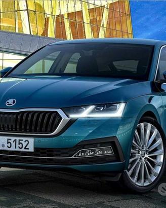 Ricambi Skoda Octavia kamiq karoq Fabia 2006.22