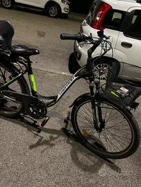 Bicicletta elettrica