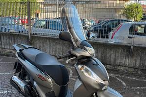 SH 300 Sport