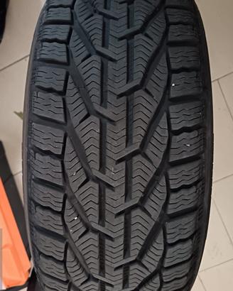 205 55 16 invernali Riken michelin