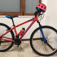 Bicicletta Mountain bike 
