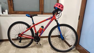 Bicicletta Mountain bike 